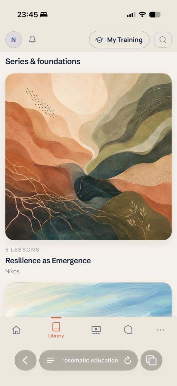 App screenshot — lesson