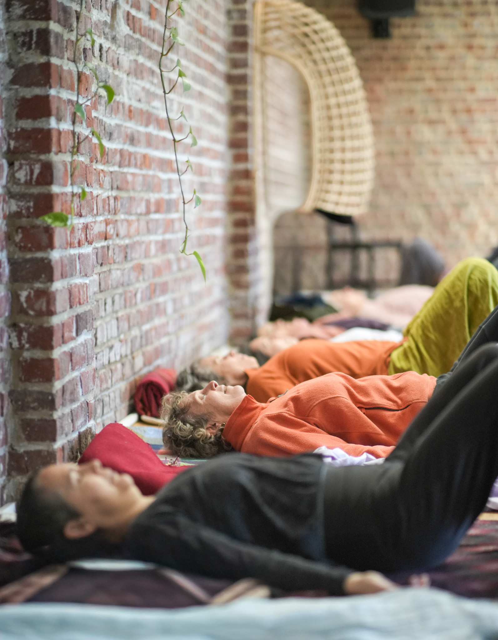 Bones for Life® – Formation Diplômante