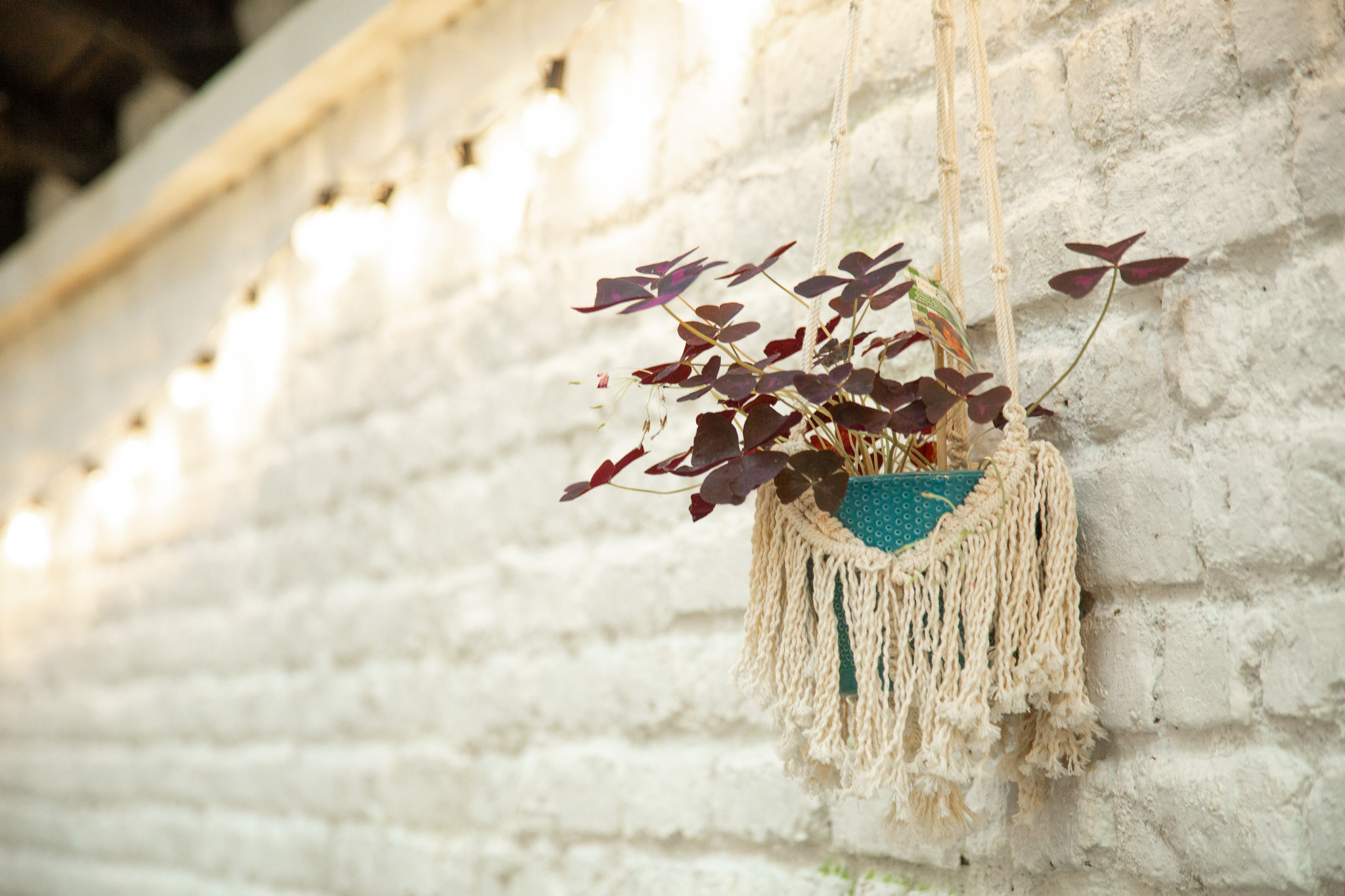 Lieu Forest Lighthouse 1